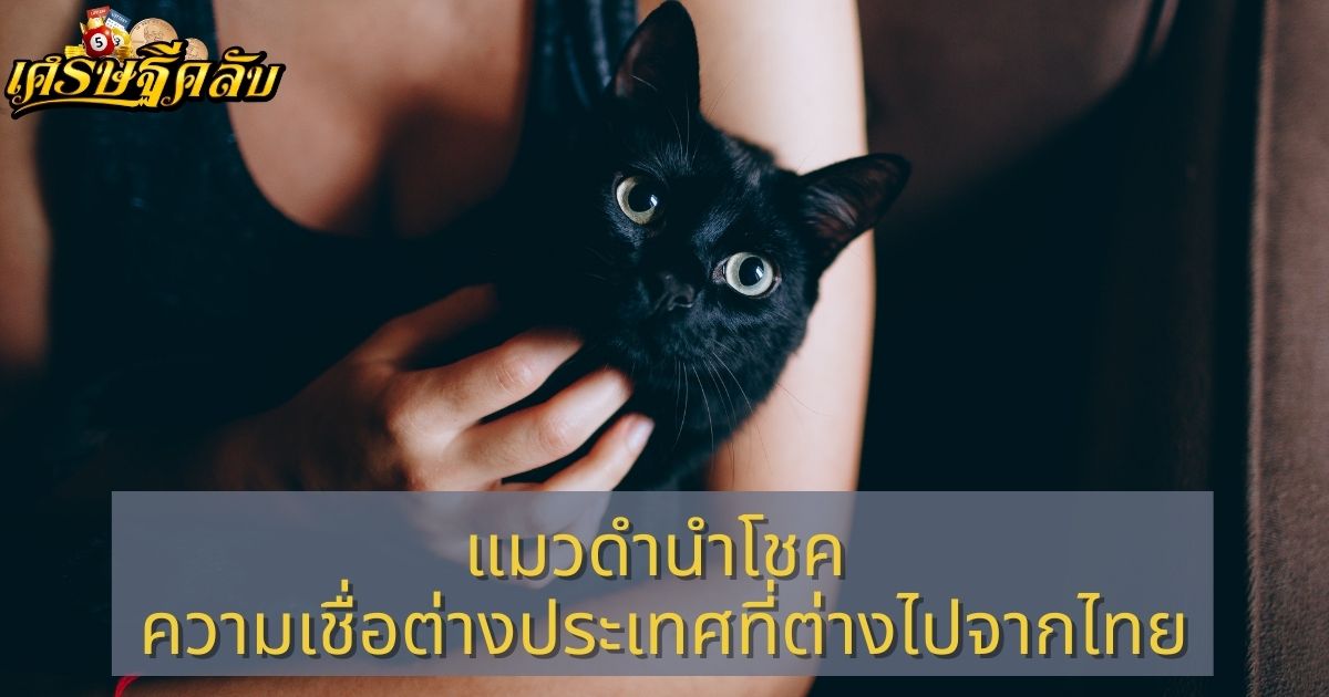 แมวดำนำโชค