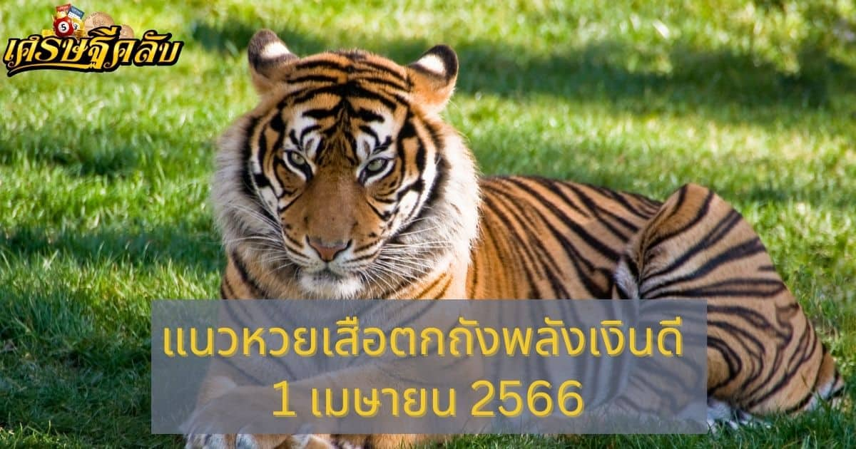 แนวหวยเสือตกถังพลังเงินดี 1 เมษายน 66