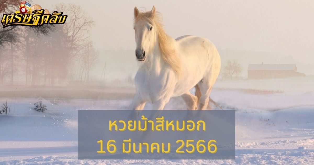 หวยม้าสีหมอก 16 มีนาคม 66