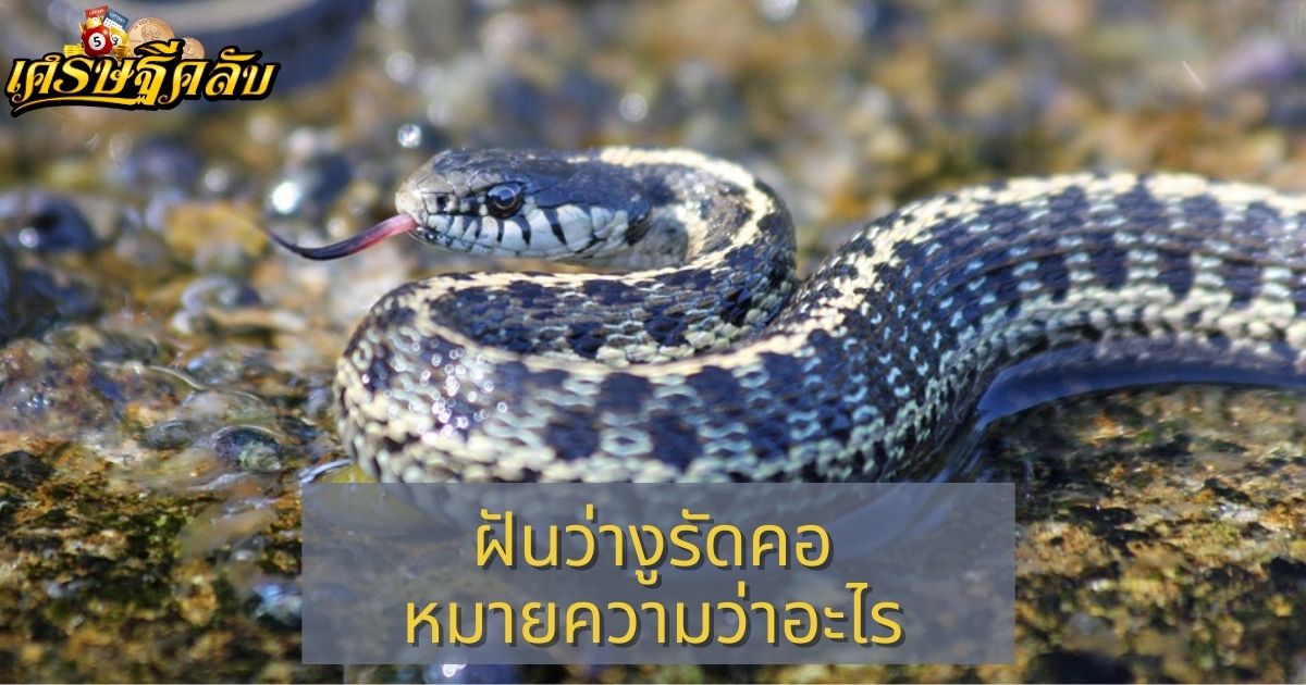 ฝันว่างูรัดคอ