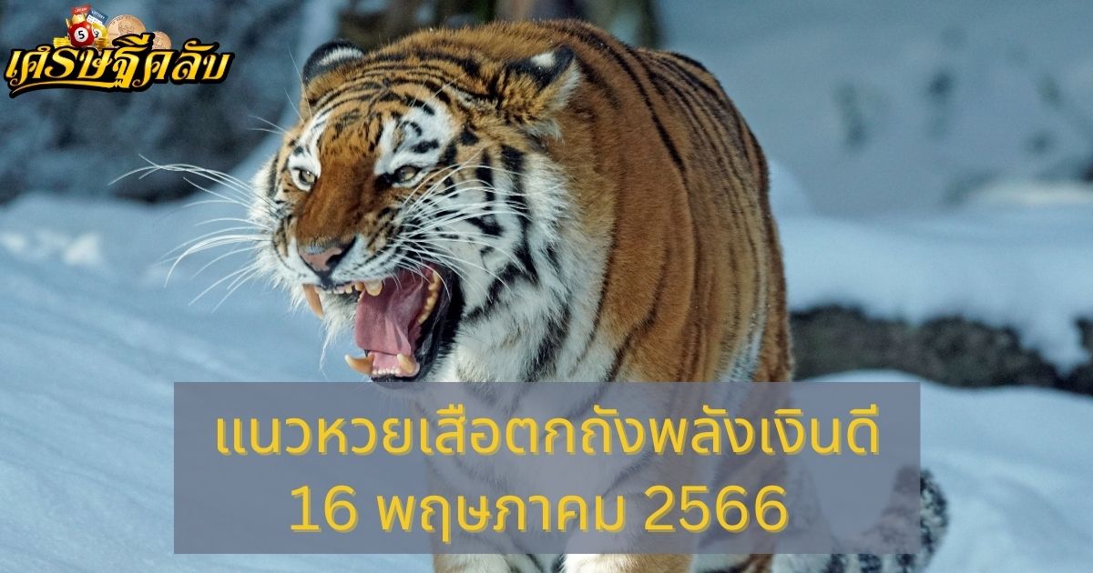 แนวหวยเสือตกถังพลังเงินดี 16 พฤษภาคม 66 จากเว็บเศรษฐีคลับ