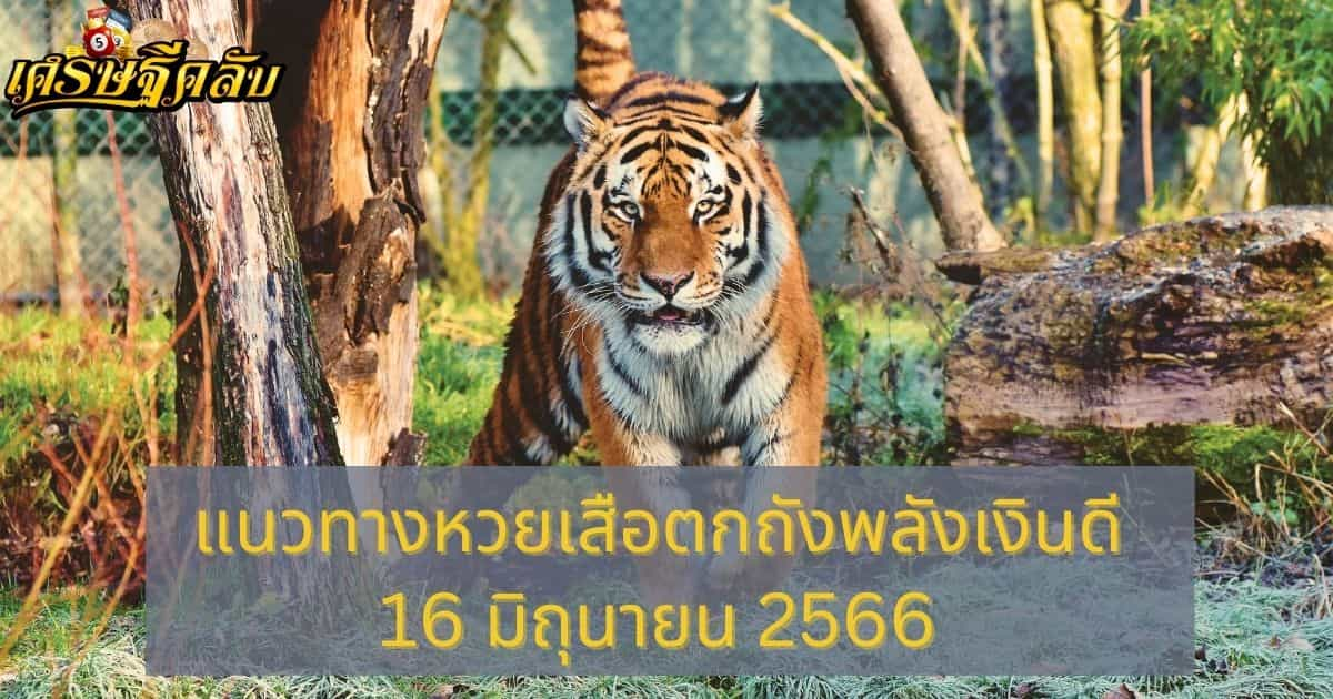 แนวทางหวยเสือตกถังพลังเงินดี 16 มิถุนายน 66