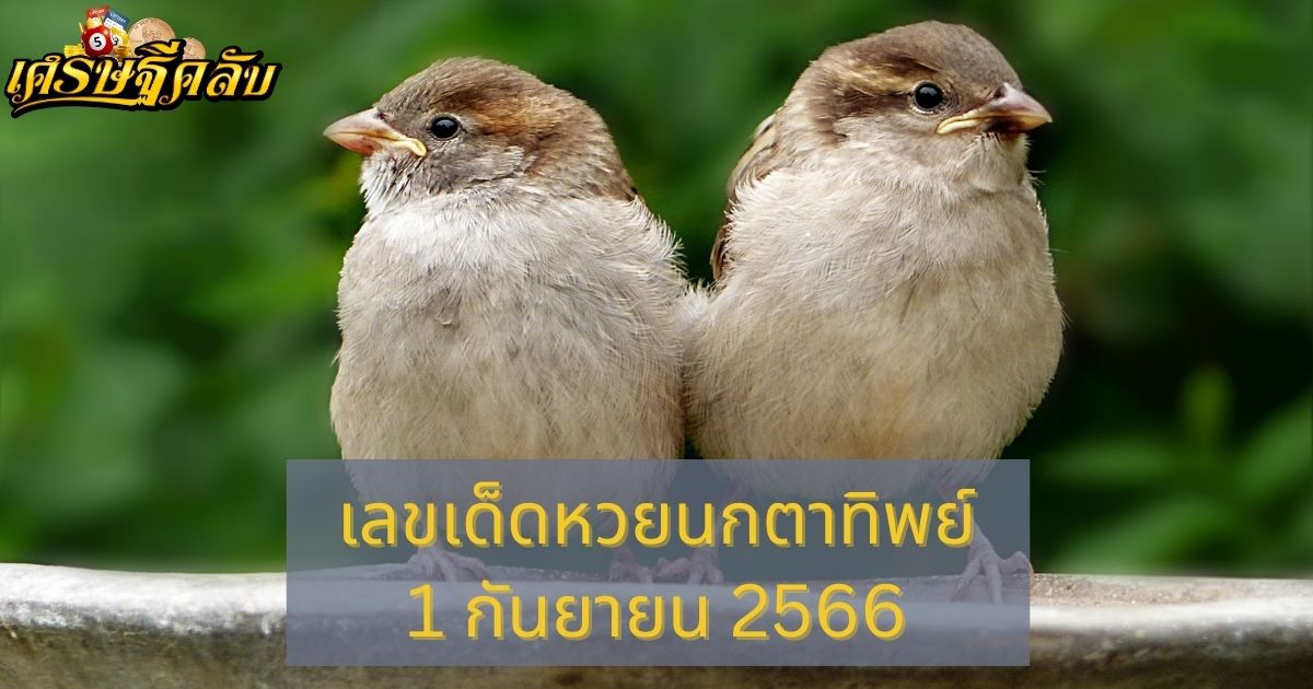 เลขเด็ดหวยนกตาทิพย์ 1 กันยายน 2566