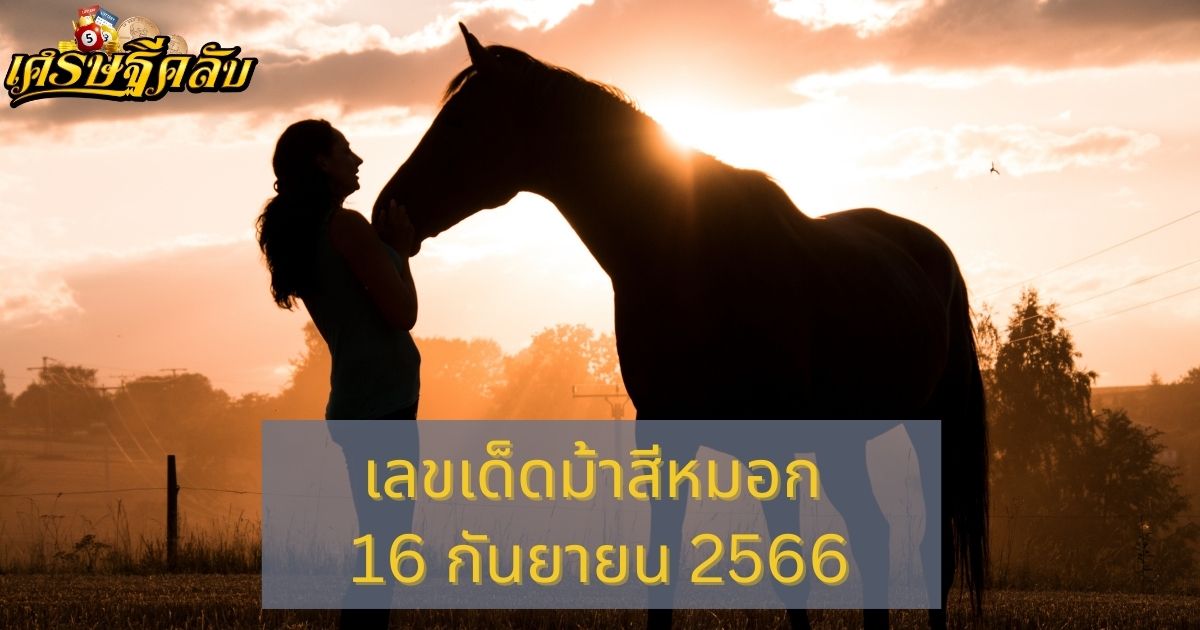 เลขเด็ดม้าสีหมอก 16 กันยายน 2566