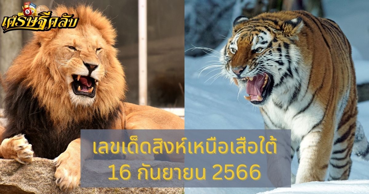 เลขเด็ดสิงห์เหนือเสือใต้ 16 กันยายน 2566 จากเว็บเศรษฐีคลับ