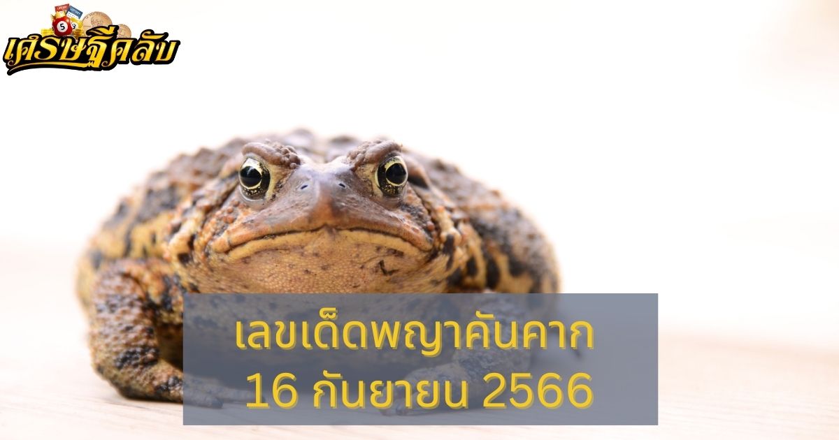 เลขเด็ดพญาคันคาก 16 กันยายน 2566