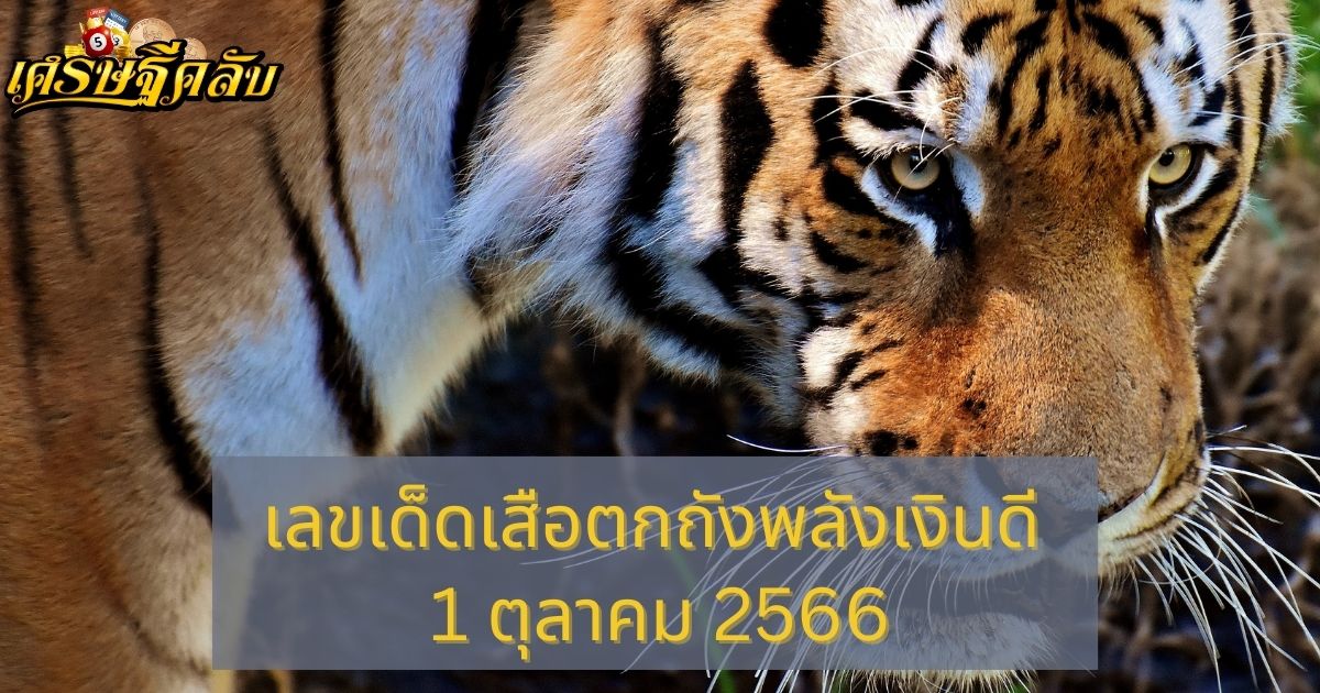 เลขเด็ดเสือตกถังพลังเงินดี 16 ตุลาคม 2566